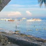 薄荷岛在哪里 薄荷岛的位置