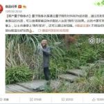 淘宝有量子隐身衣买吗？量子隐身衣是什么原理