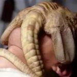 异形抱脸虫原型是什么，地球上有抱脸虫吗？