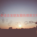 20条适合发朋友圈伤感英文句子带中文翻译