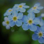 做胃镜前能用餐吗，做胃镜常见问题归纳