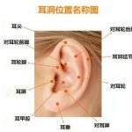打耳洞最漂亮的位置图解，耳洞要养多久才能随便戴？