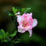 企业助学捐款的倡议书