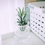 青奥会志愿者倡议书