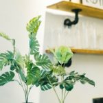 青年创业协会倡议书