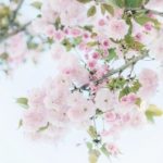 寝室文化节倡议书