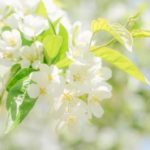 勤俭节约倡议书