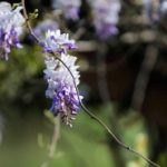 寝室文化倡议书