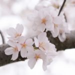 寝室文化建设倡议书