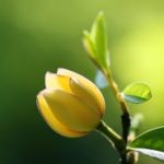 勤俭过年倡议书