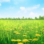 青年创业者协会倡议书