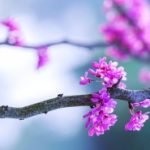 勤俭节约活动倡议书