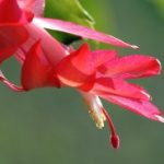 寝室文明倡议书