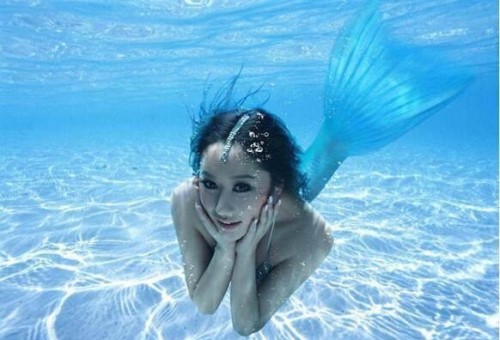 这世界真的有“美人鱼”吗? 美人鱼只存在童话里