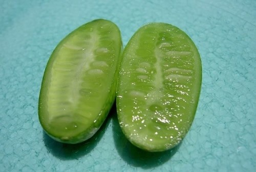 世界上最小的西瓜 只有拇指大小