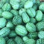 拇指西瓜多少钱一斤？怎么吃？种植方法是什么？