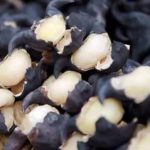 菱角什么时候成熟上市？吃了有什么好处？哪些人不能吃？