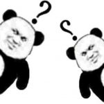 你说中国人不骗中国人是什么梗 起底源出处