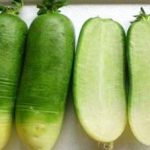 食用青萝卜的好处 食用青萝卜的坏处