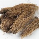 白薇的功效和作用 白薇的功效和作用及禁忌