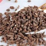 蕨麻有什么功效 蕨麻的功效与作用