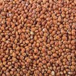 稷米有什么功效 稷米的功效与作用