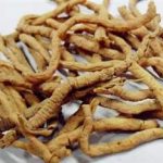 远志有什么功效与作用 远志的功效与作用