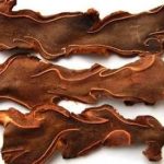 狗脊这么服用最好-狗脊怎么吃