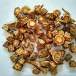 防风的功效和作用2021 防风的禁忌