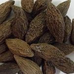 青果有什么功效和作用 青果的功效与作用