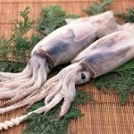 鱿鱼具有哪些功效与作用 鱿鱼的功效与作用