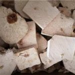 茯神有什么药用价值 茯神的副作用