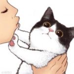 舔猫什么意思？ 恋爱梗了解一下