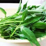 空心菜的功效与作用 空心菜的主治功能