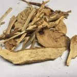 臭梧桐的副作用2021 臭梧桐的功效和作用