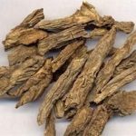 续断的功效和作用2021 续断的副作用