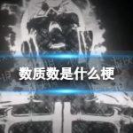 网络流行语科普 数质数是什么梗？