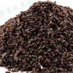 车前子的功效和作用2021 车前子的禁忌