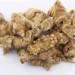 竹节七的功效与作用-竹节七的功效图片