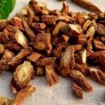丹参的用量是多少克 丹参的用法与用量