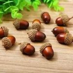 橡实有什么作用 橡实的功效与作用