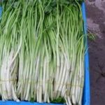 什么人不能吃水芹菜 水芹菜的功效与作用