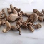 防己的功效与作用 防己的作用是什么