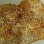 琥珀的功效和作用 琥珀的毒性
