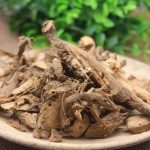 麻根有什么功效 麻根的功效与作用