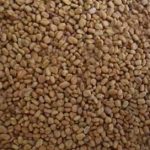 胡芦巴的禁忌2021 胡芦巴功效与禁忌