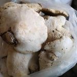 阿里红的作用和功效 阿里红的临床应用