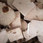 吃茯神有何禁忌 茯神的副作用