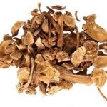 秦艽的功效和作用2021 秦艽的禁忌
