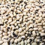 白豆的营养价值 白豆的食用功效